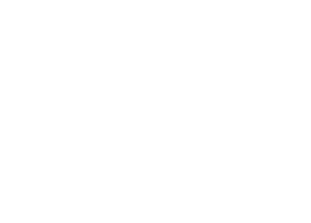 Specialisti del posizionamento dei brand